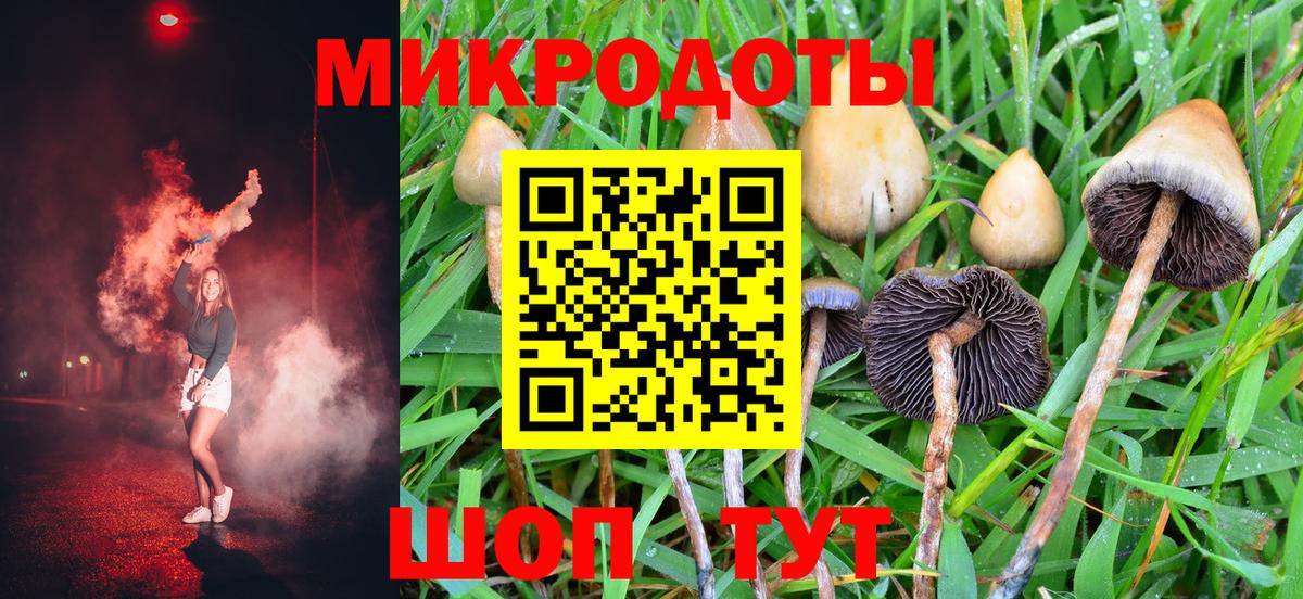 Зима  Галлюциногенные грибы Psilocybe  Вход с VPN 