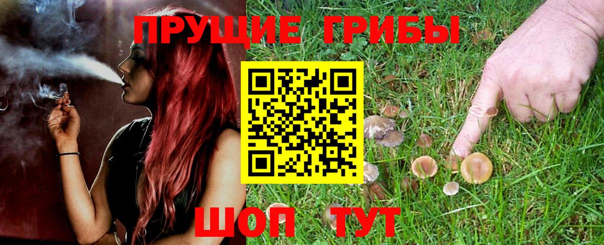 Галлюциногенные грибы мицелий Зима